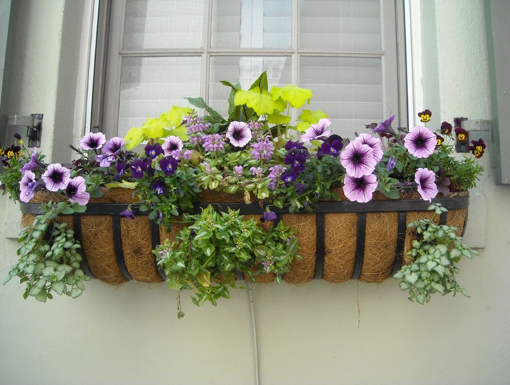 Le label “4 Fleurs” accordé à Saint-Jean-de-Monts
