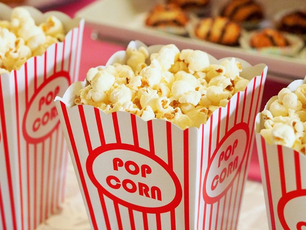 Des séances de cinéma en plein air à Vertou 