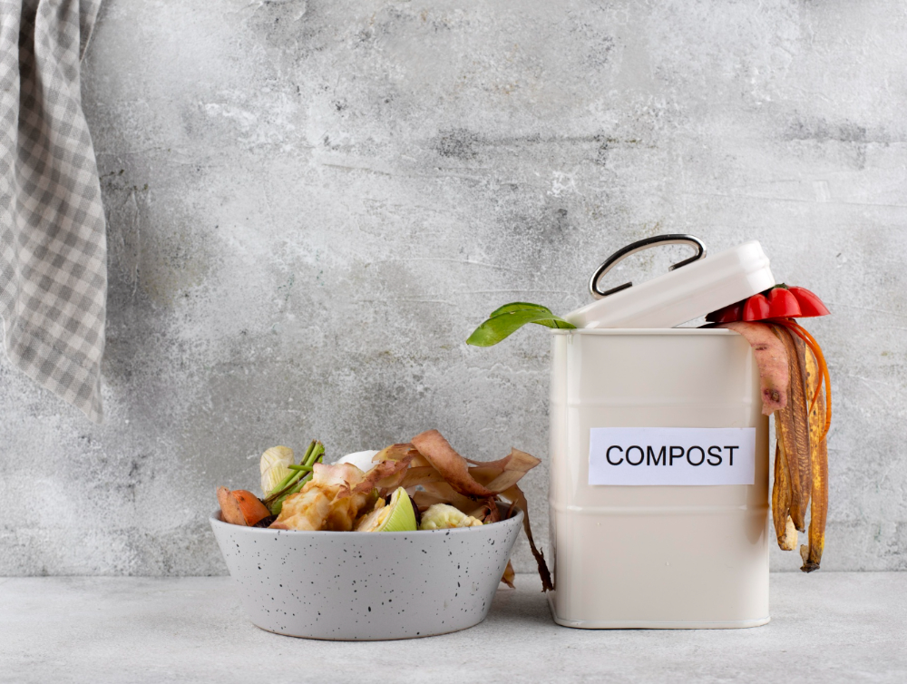 Actualité : Essayez le compostage ! Centre Services se charge du ménage à Pau !