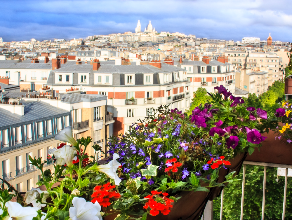 Cité des fleurs, comment échapper au brouhaha métropolitain à Paris 17