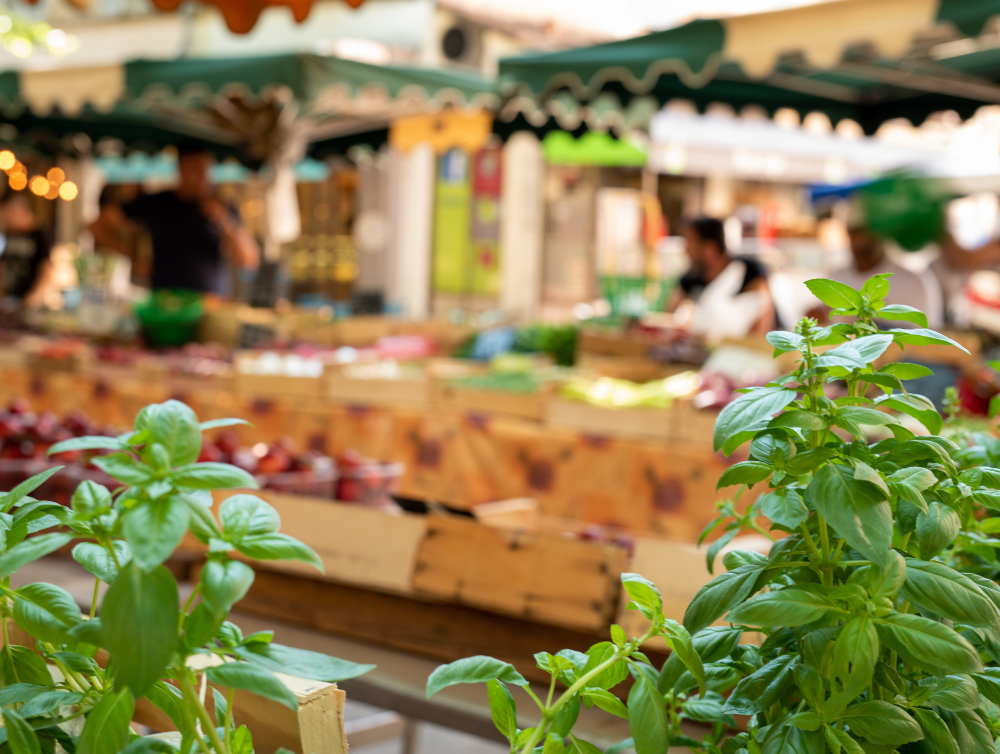 Actualité : Prenez rendez-vous avec le marché du jeudi de Thonon-les-Bains