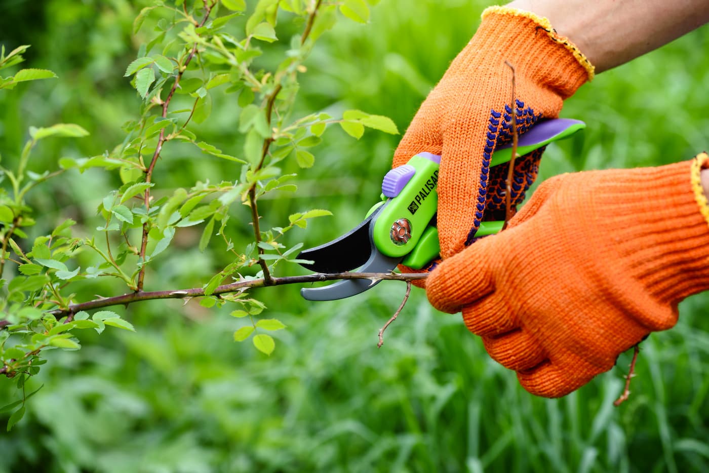 Photo de la dernière actualité - Centre Service vous propose ses jardiniers à Grenoble