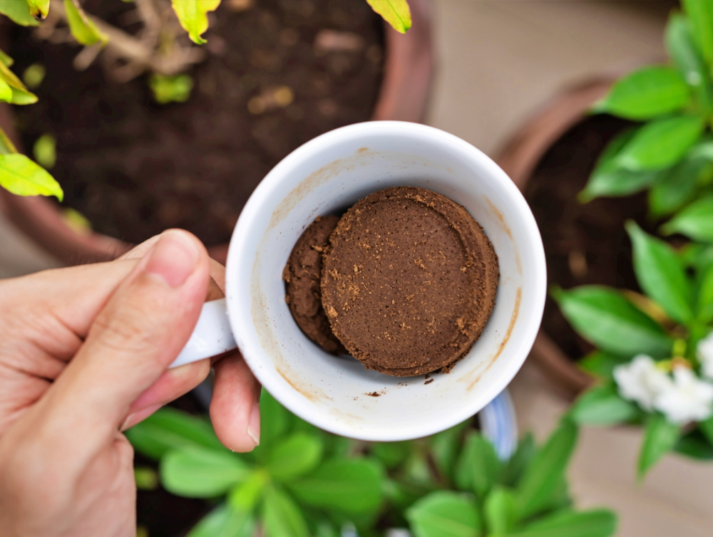 Photo de la dernière actualité - Marc de café : un allié de nettoyage efficace, écologique et économique