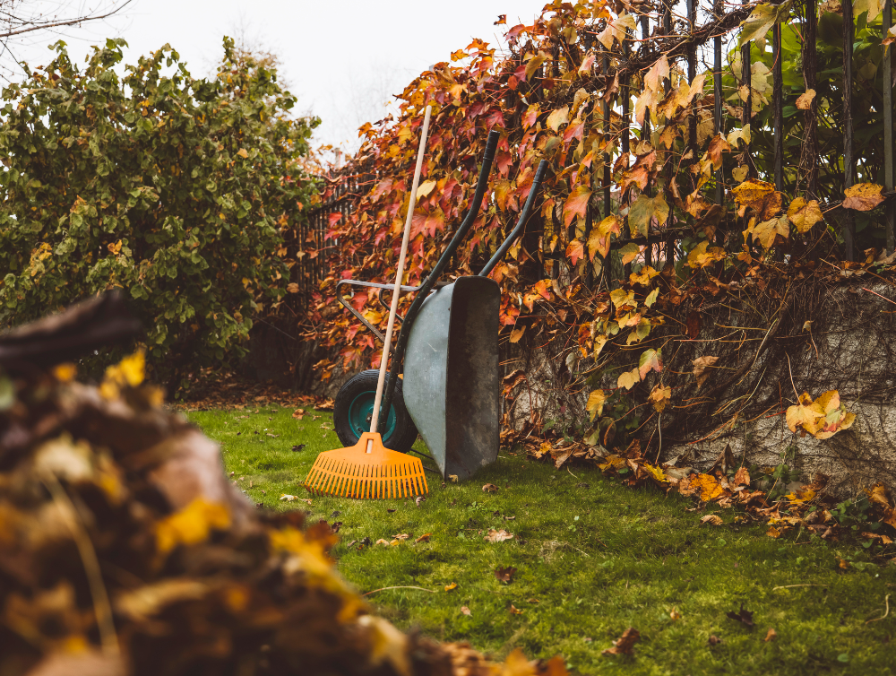 Actualité : Que faire au jardin en octobre ? Guide des travaux de jardinage