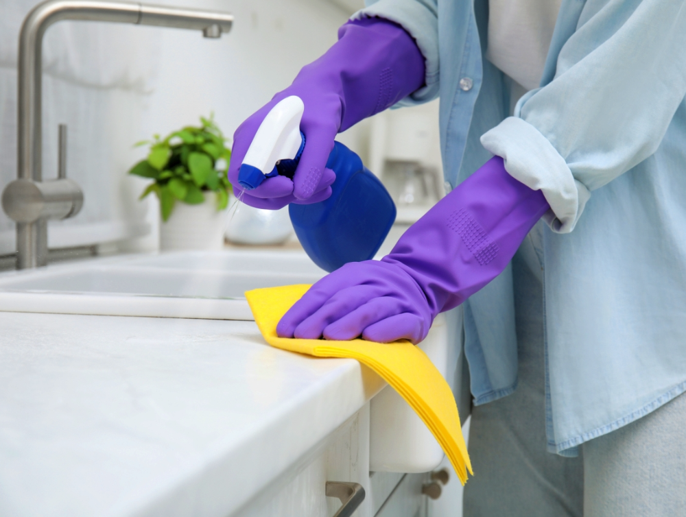 Actualité : Tout dégraisser chez soi avec un expert du ménage à Anglet