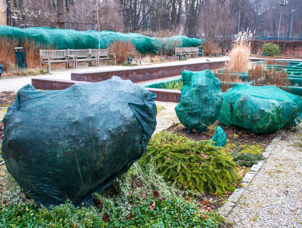 Hivernage du jardin : 5 gestes pour protéger vos plantes du gel