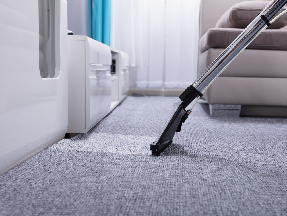 Actualité : Ménage à domicile : bien s’équiper pour un maximum d’efficacité