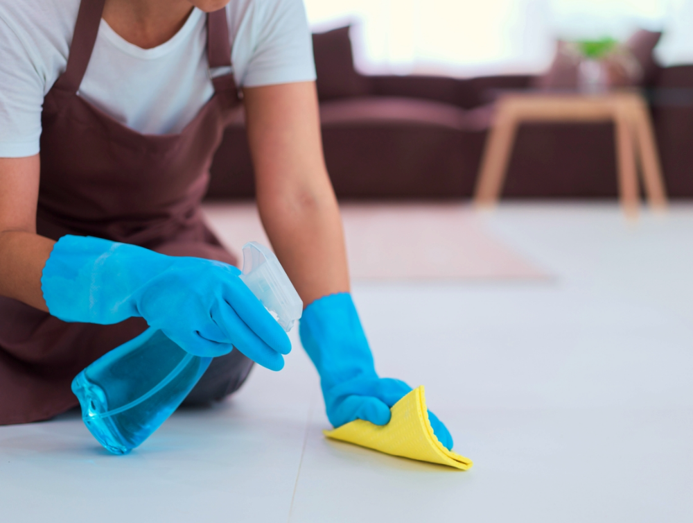 Actualité : Une maîtrise totale du ménage à La Rochelle pour un résultat optimal