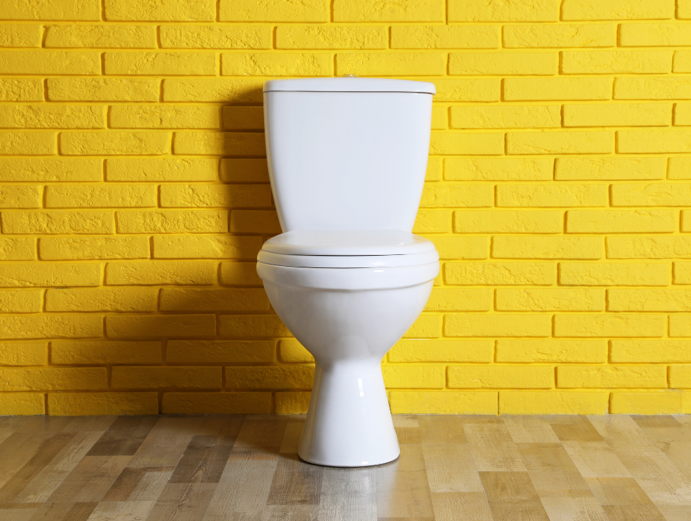 Photo de la dernière actualité - Nettoyage des WC : un ménage complet pour des toilettes 100% hygiéniques