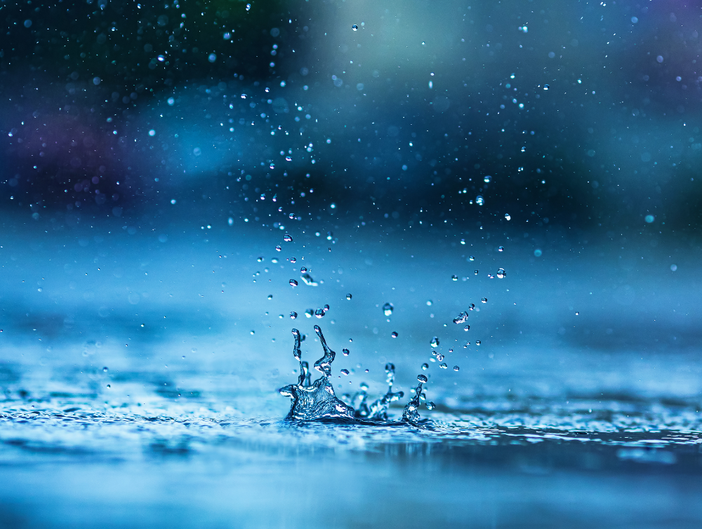 Actualité : De l’eau de pluie pour le ménage, une idée pratique et économique !