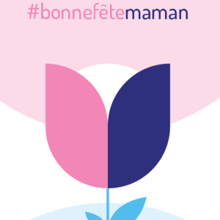 Image de l'actualité Bonnes Fêtes à toutes les mamans