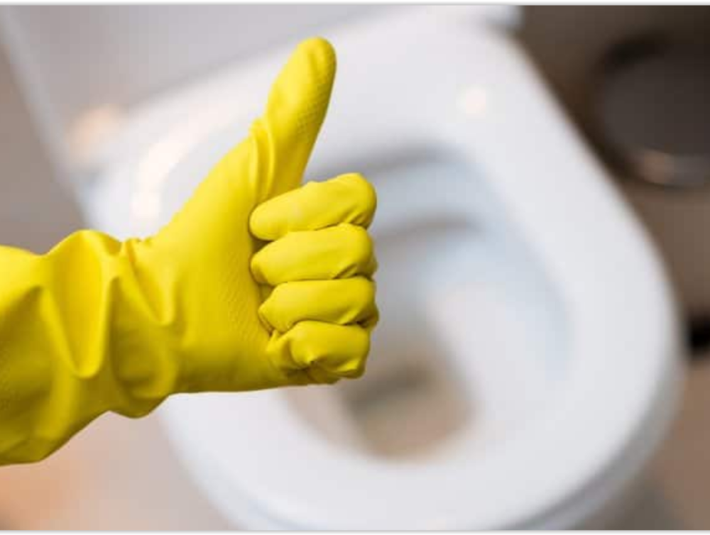 Comment nettoyer efficacement vos toilettes avec des produits naturels ?