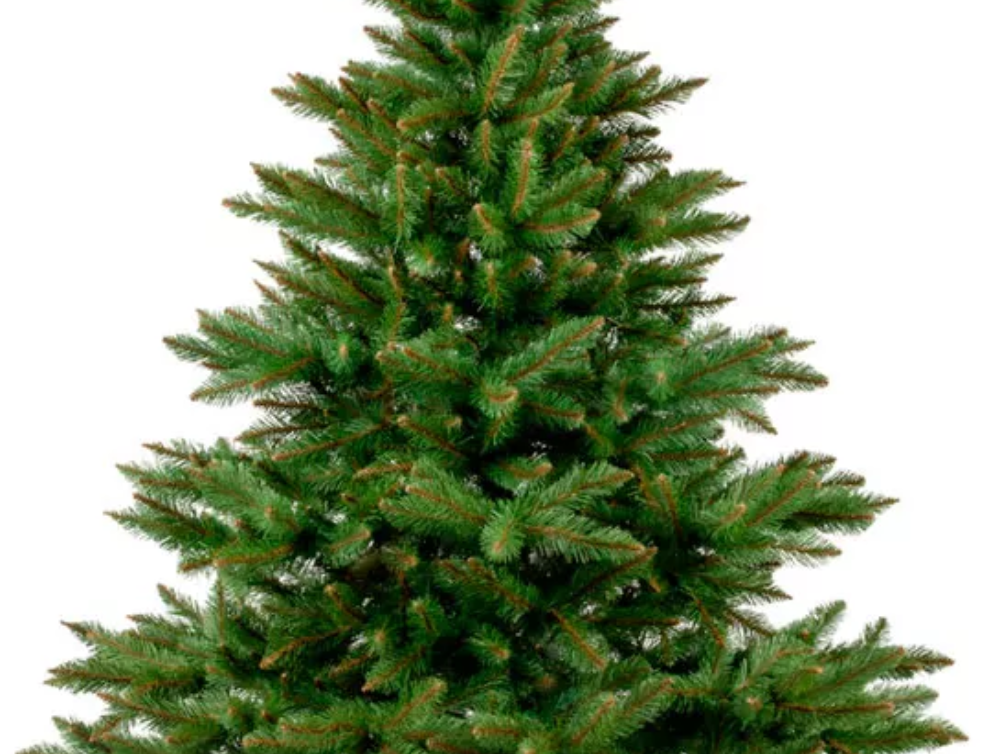 Image de l'actualité DATES DES COLLECTES DES SAPINS