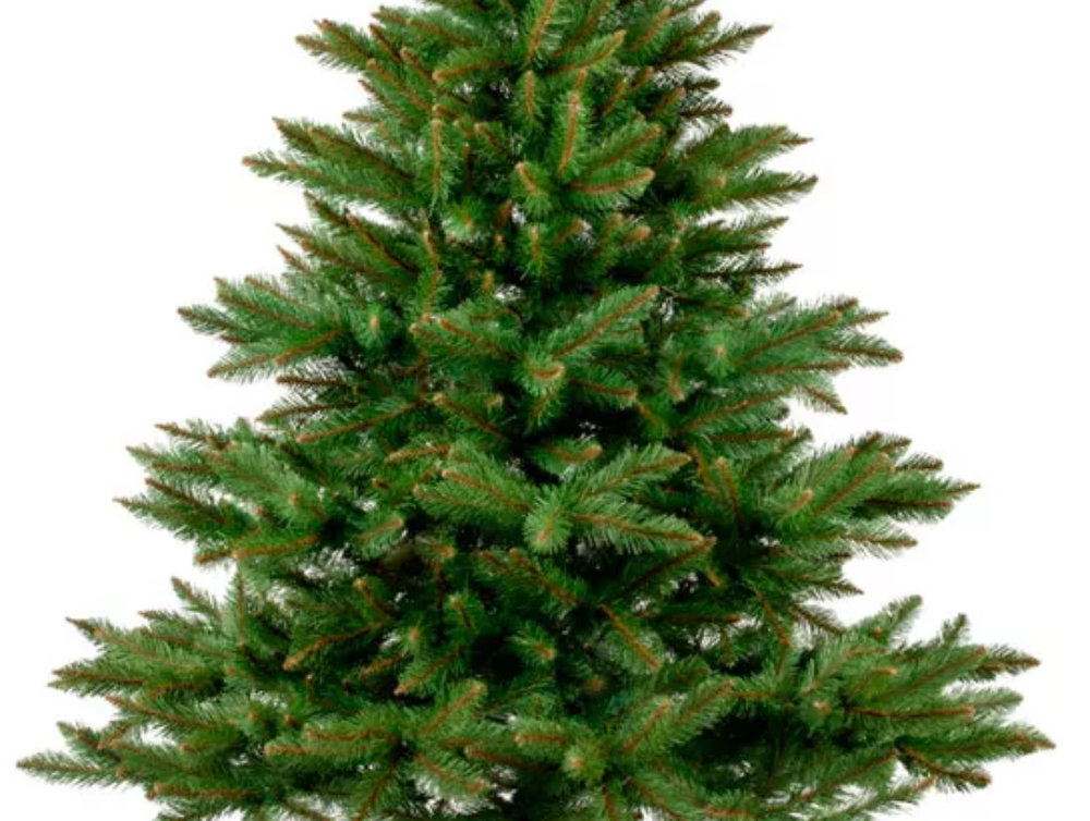 Image de l'actualité COLLECTE DES SAPINS 