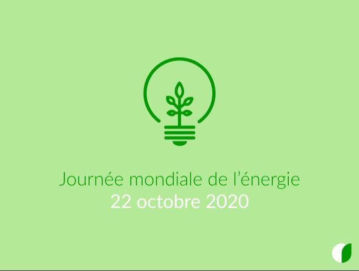 Image de l'actualité Le 22 octobre c'est la journée mondiale de l’énergie ! 🌎