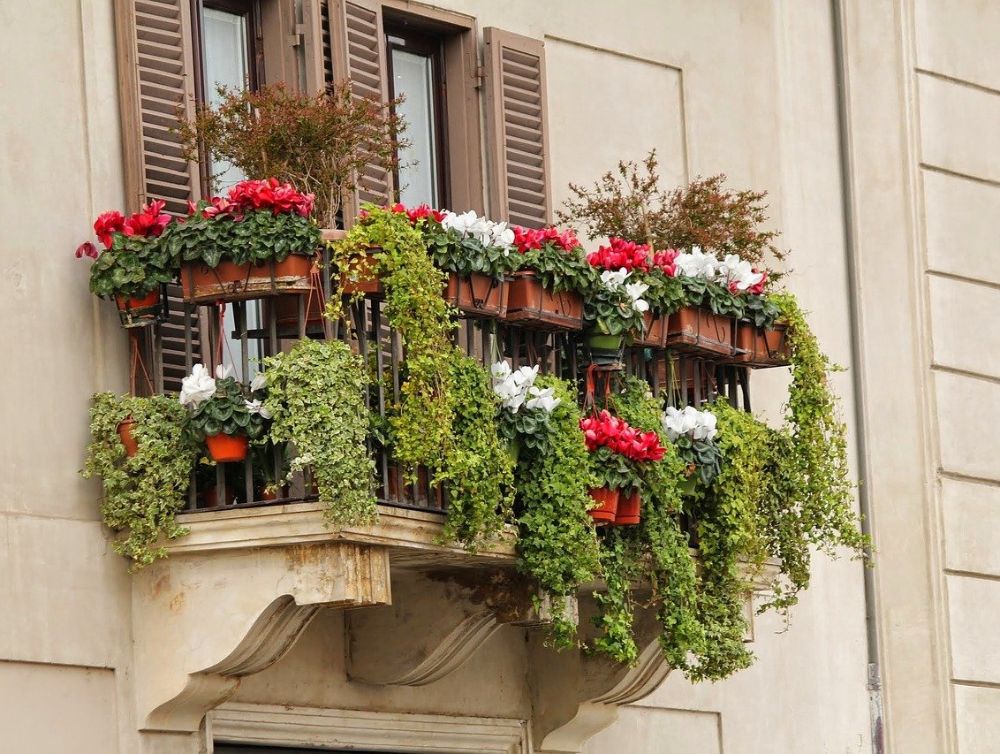 Le concours des balcons et jardins fleuris de Saint-Étienne 