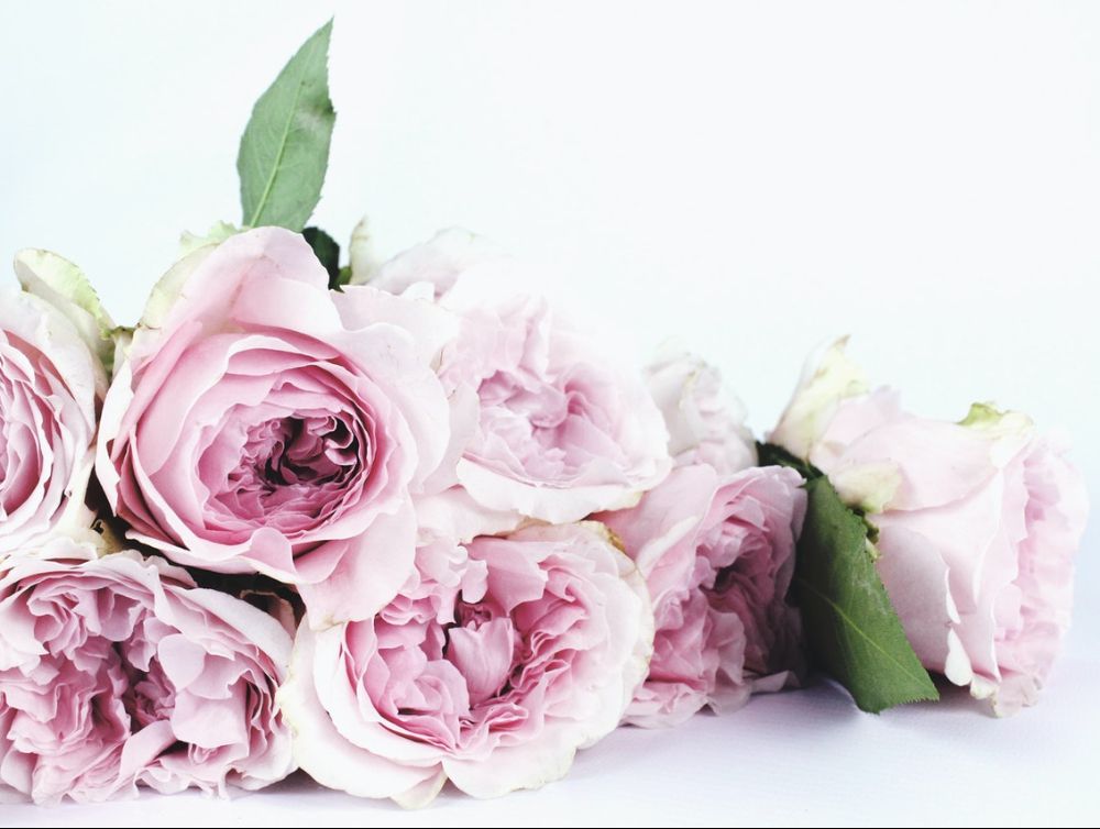 Image de l'actualité En juin, la Fête des Roses revient à Brie-Comte-Robert !