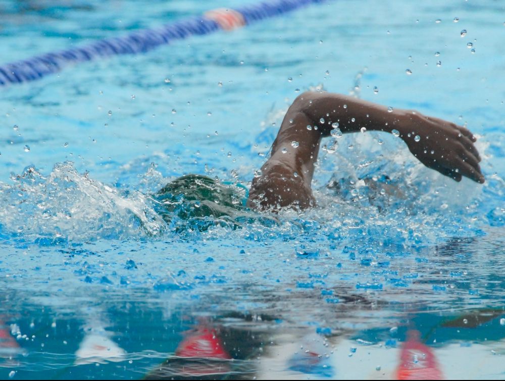 Les championnats de France de natation grand bassin à Chartres