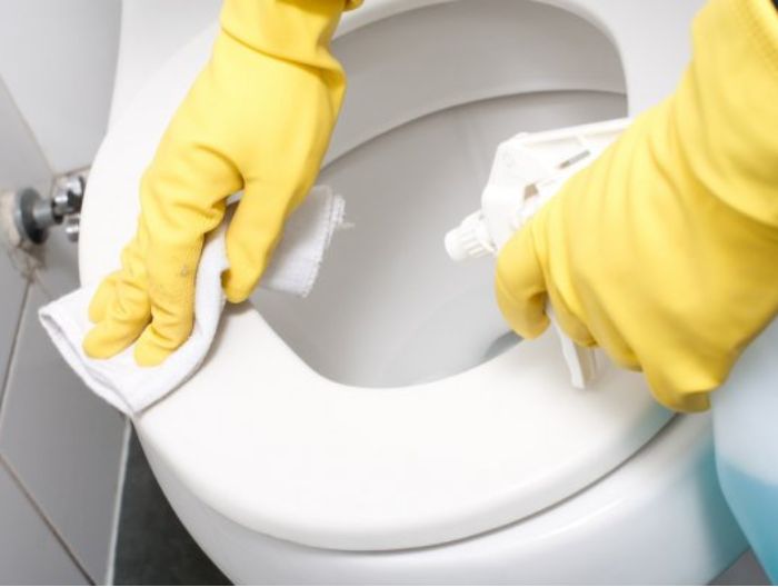 Image de l'actualité Nettoyage fond de cuvette WC : solutions pour retrouver des toilettes parfaitement propres
