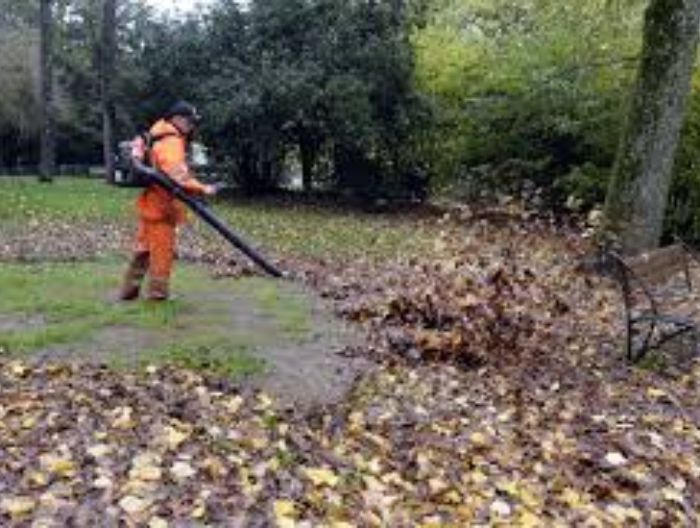 Ramasser les feuilles mortes  Centre Services Sucy-en-Brie