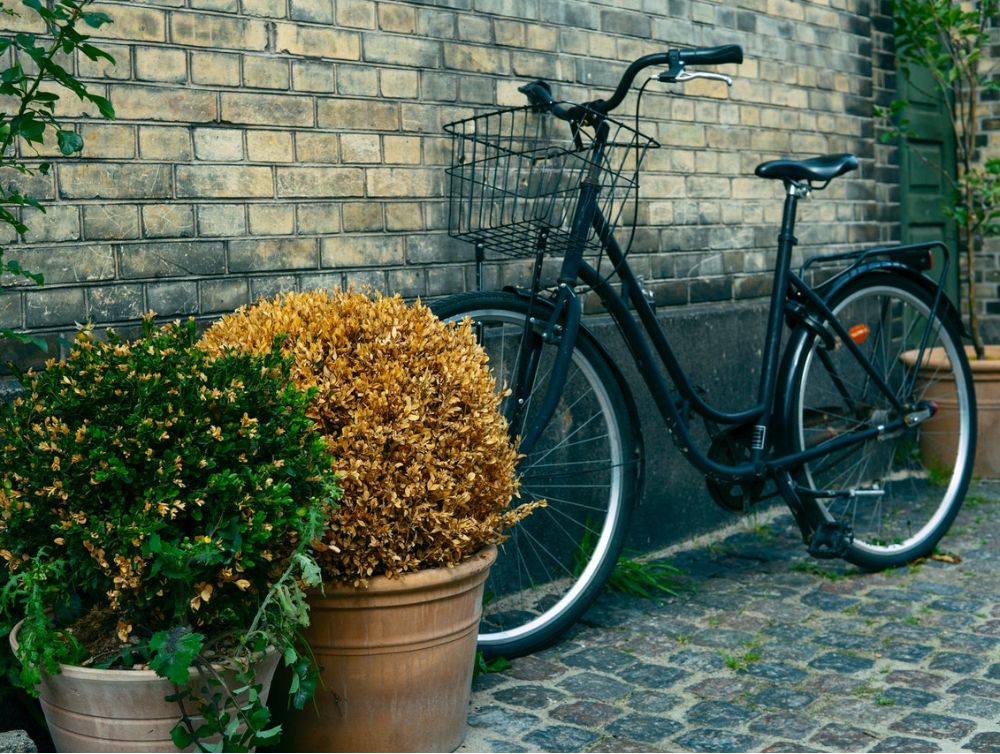 Image de l'actualité Le vélo à l’honneur à Clermont-Ferrand