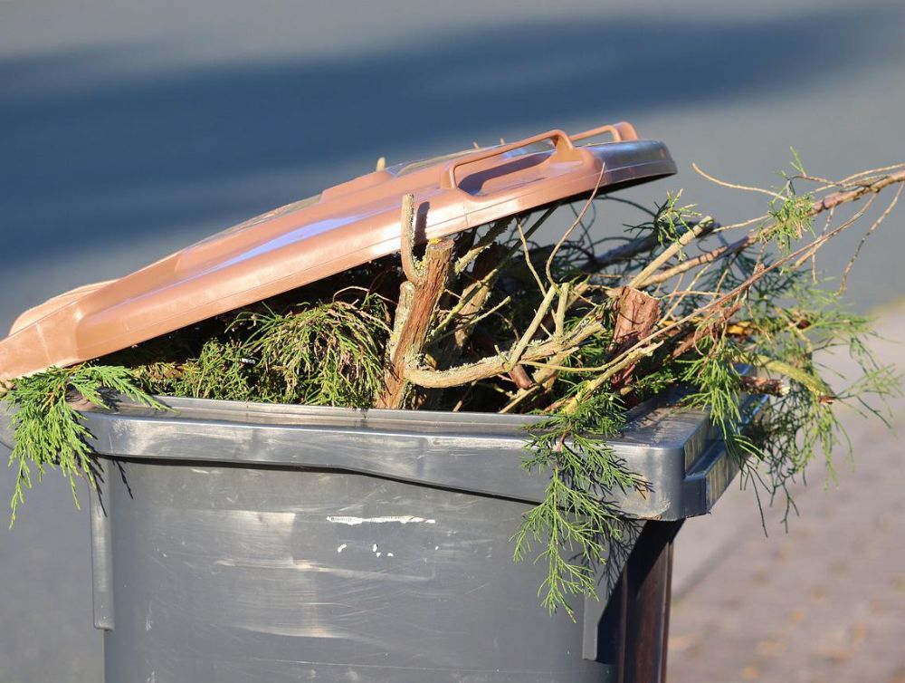 Image de l'actualité Réduire ses déchets verts : les conseils de la ville de Maurepas