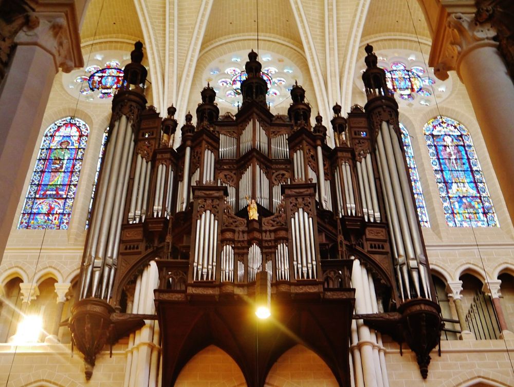 L’orgue de la cathédrale de Chartres entame sa métamorphose