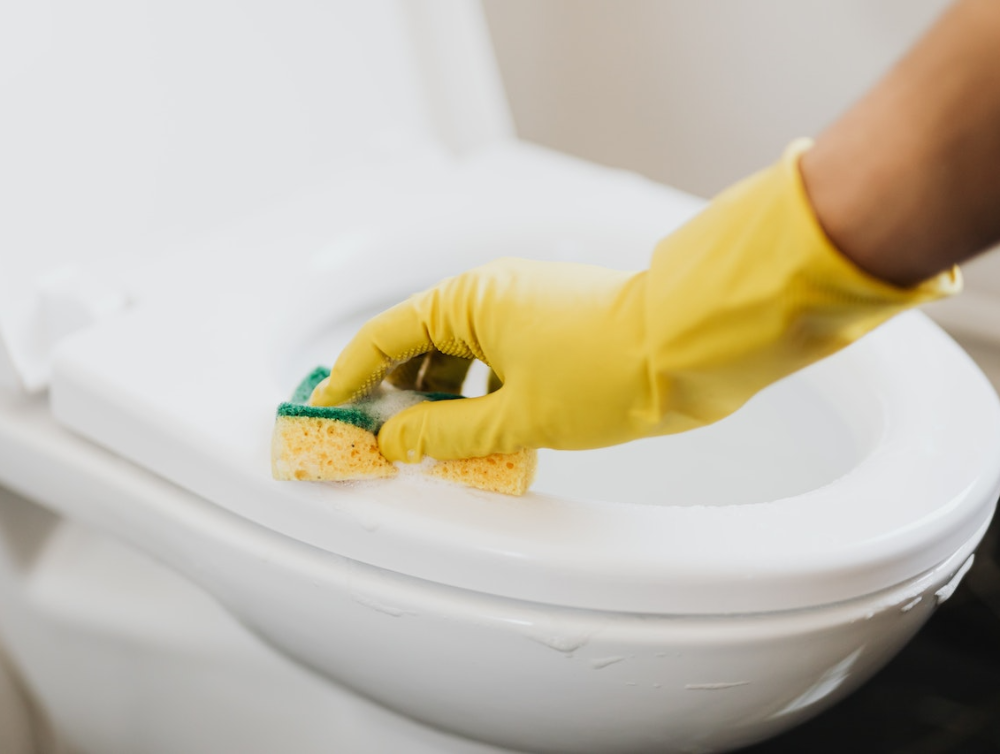 Image de l'actualité Nettoyage des toilettes : comment remplacer l’eau de javel ?