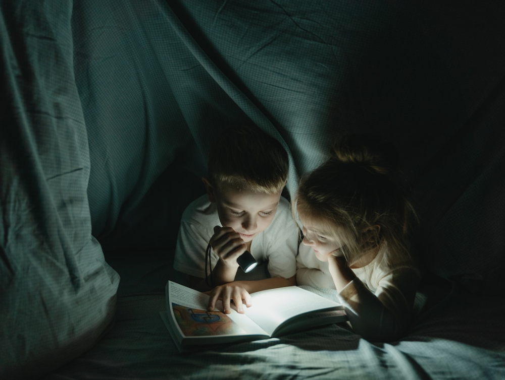 Image de l'actualité Des animations terrifiantes pendant les “Nuits de la lecture” à Fontainebleau
