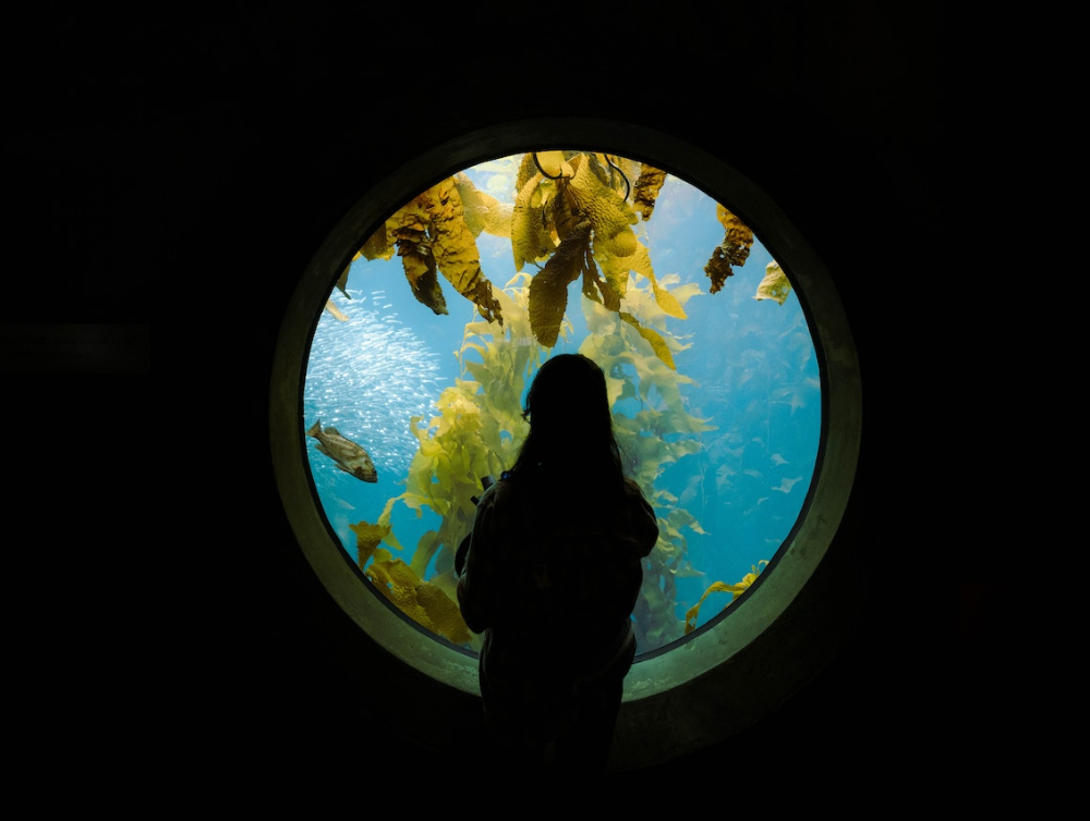 Personne qui visite l’Aquarium tropical grâce à une femme de menage à Paris 12