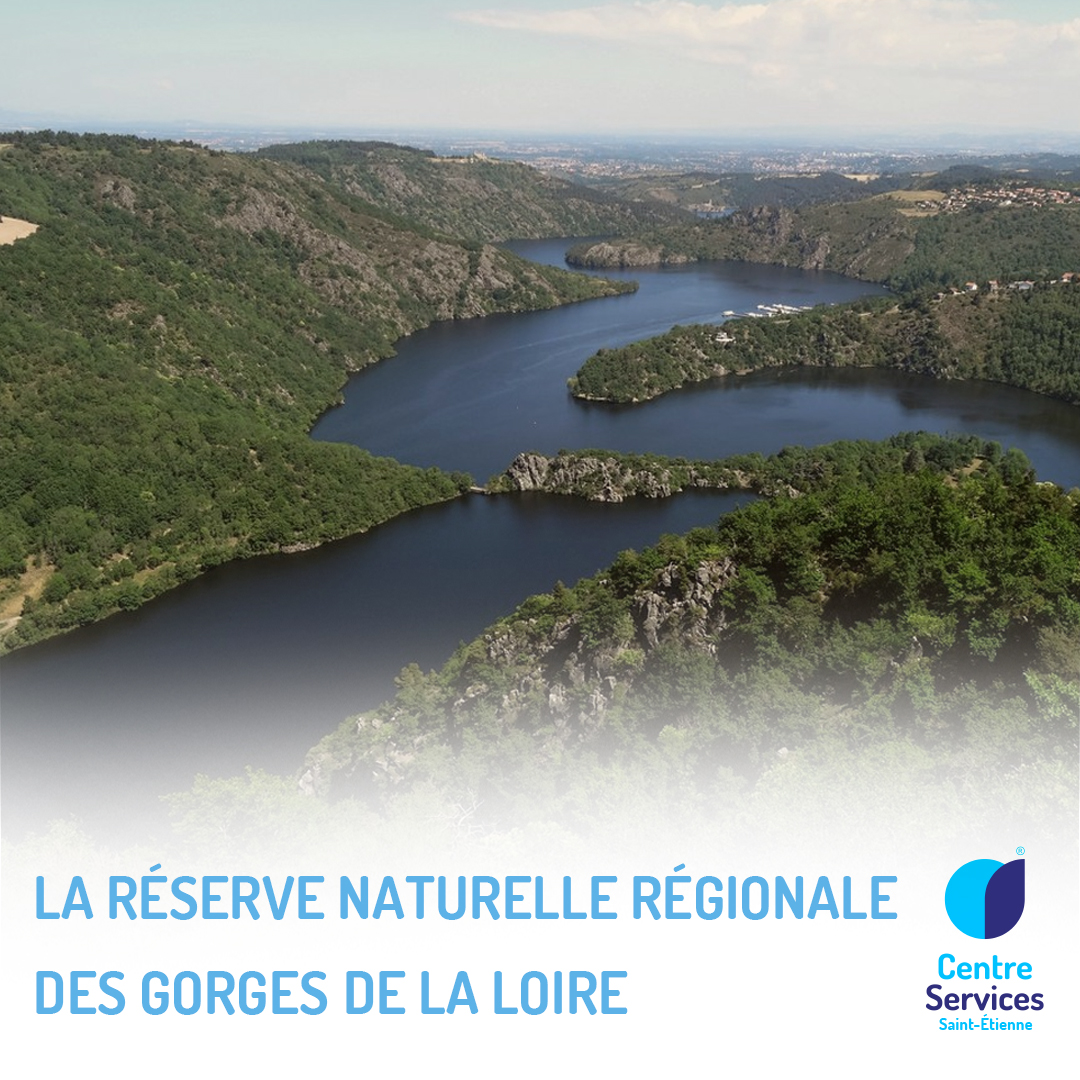 La Réserve Naturelle Régionale des Gorges de la Loire !