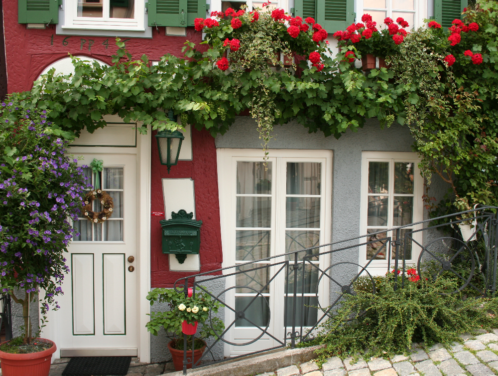Une façade fleur avec nos services d’entretien du jardin à Epernay