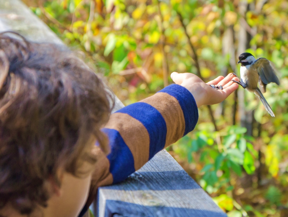 Image de l'actualité Les secrets de la nature, rois des activités du Parc floral à Paris 12