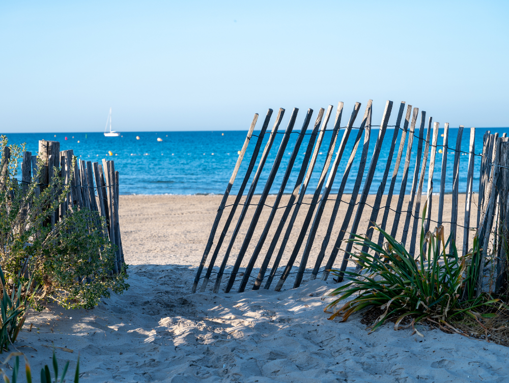 Image de l'actualité Le programme culturel de mai-juin à La Seyne-sur-Mer