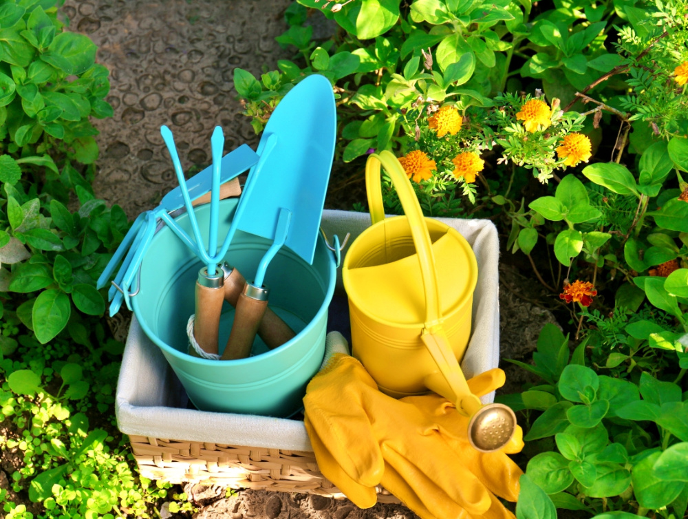 du temps pour votre jardin avec une femme de ménage à Bourgoin