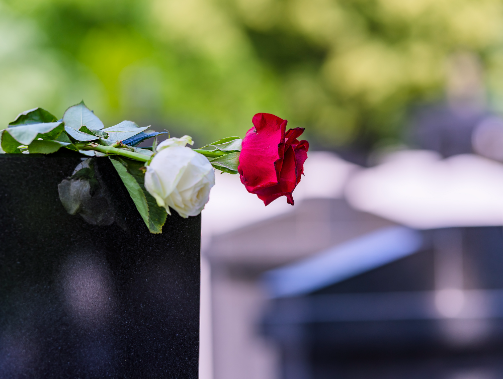 Image de l'actualité Le cimetière du Levant, le nouveau cimetière écologique de Lieusaint