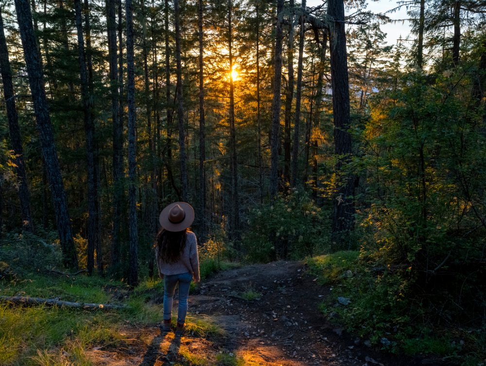 Image de l'actualité Nuits des Forêts 2024 : les rendez-vous au coeur de la nature à Paris 12