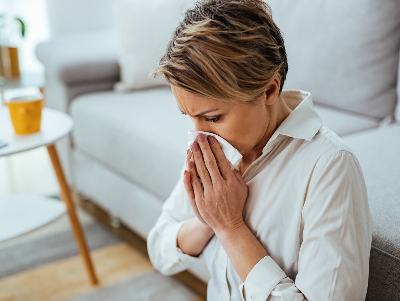 Image de l'actualité Diminuer les allergènes chez vous avec ces quelques astuces !