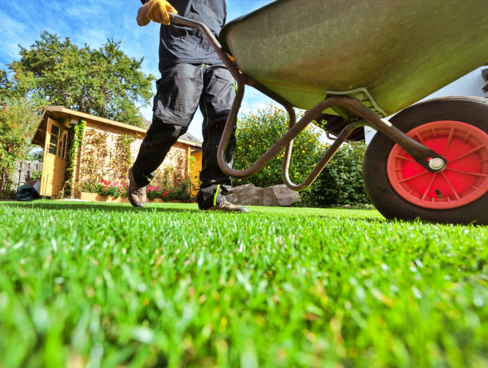 le service de jardinage à domicile à Chartres gère l’entretien du jardin