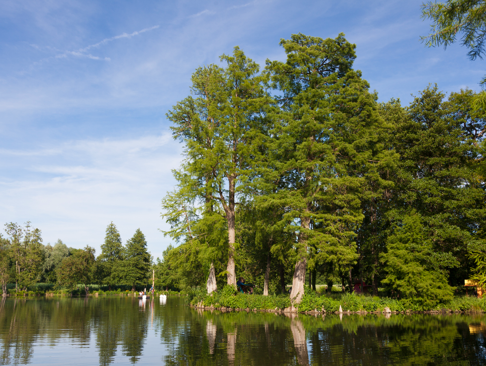 Lac dans le château de Chamarande, Essonne