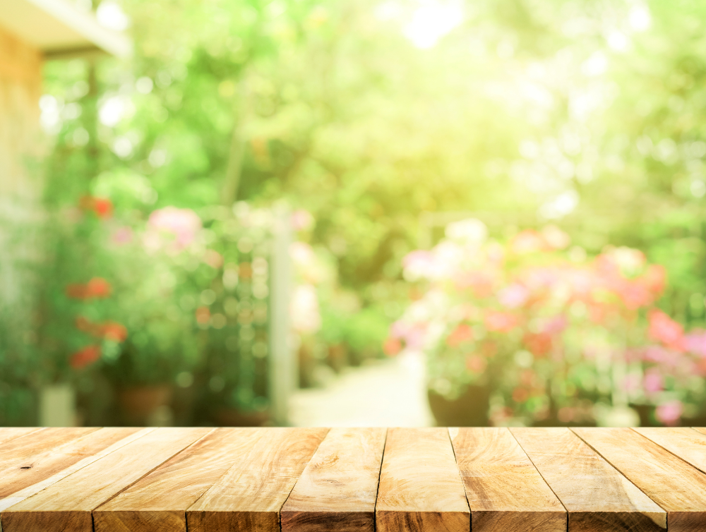 Image de l'actualité Quelles activités faire dans son jardin avec l'aide de Centre Services