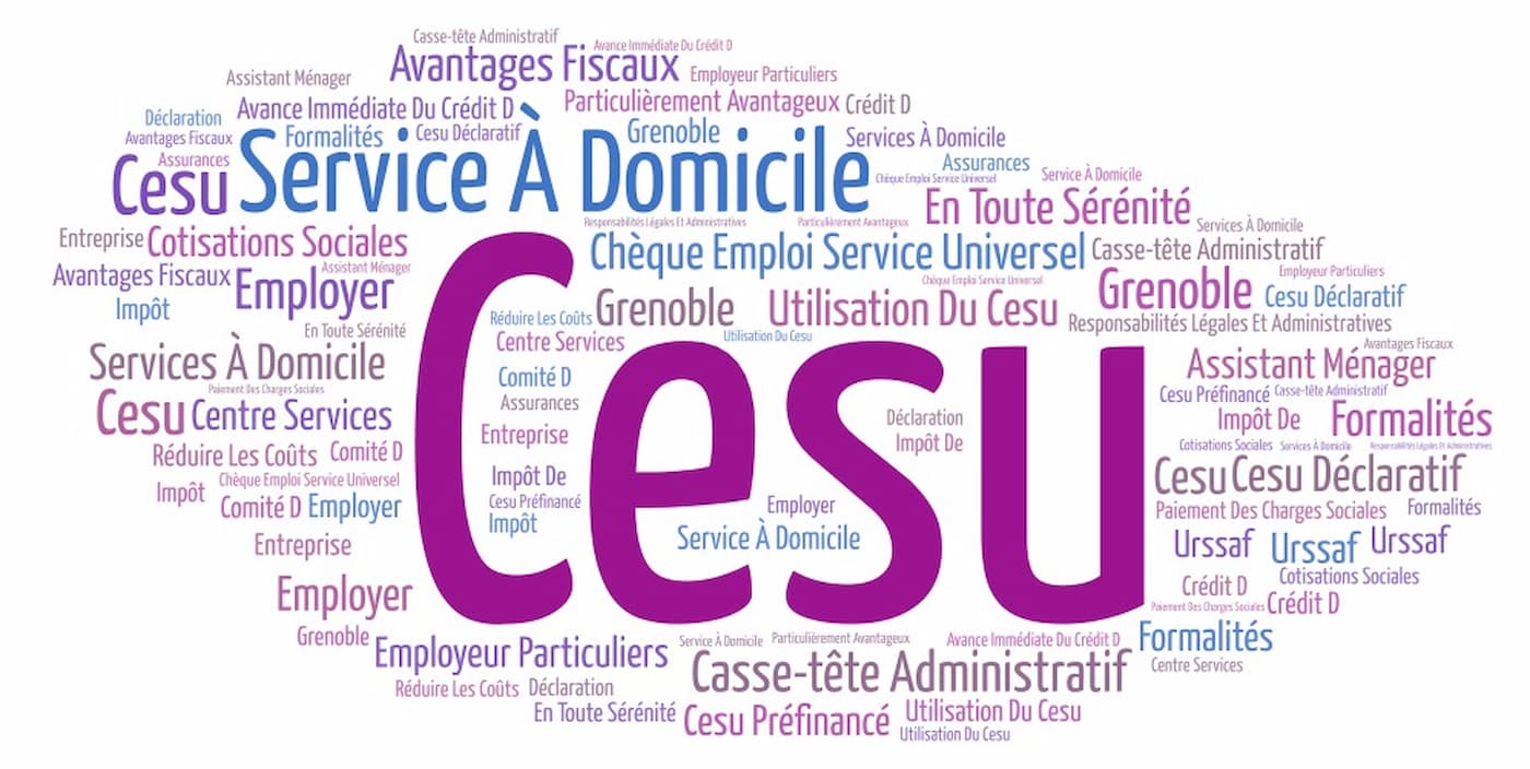 Image de l'actualité CESU : quels avantages et comment les utiliser à Grenoble ?