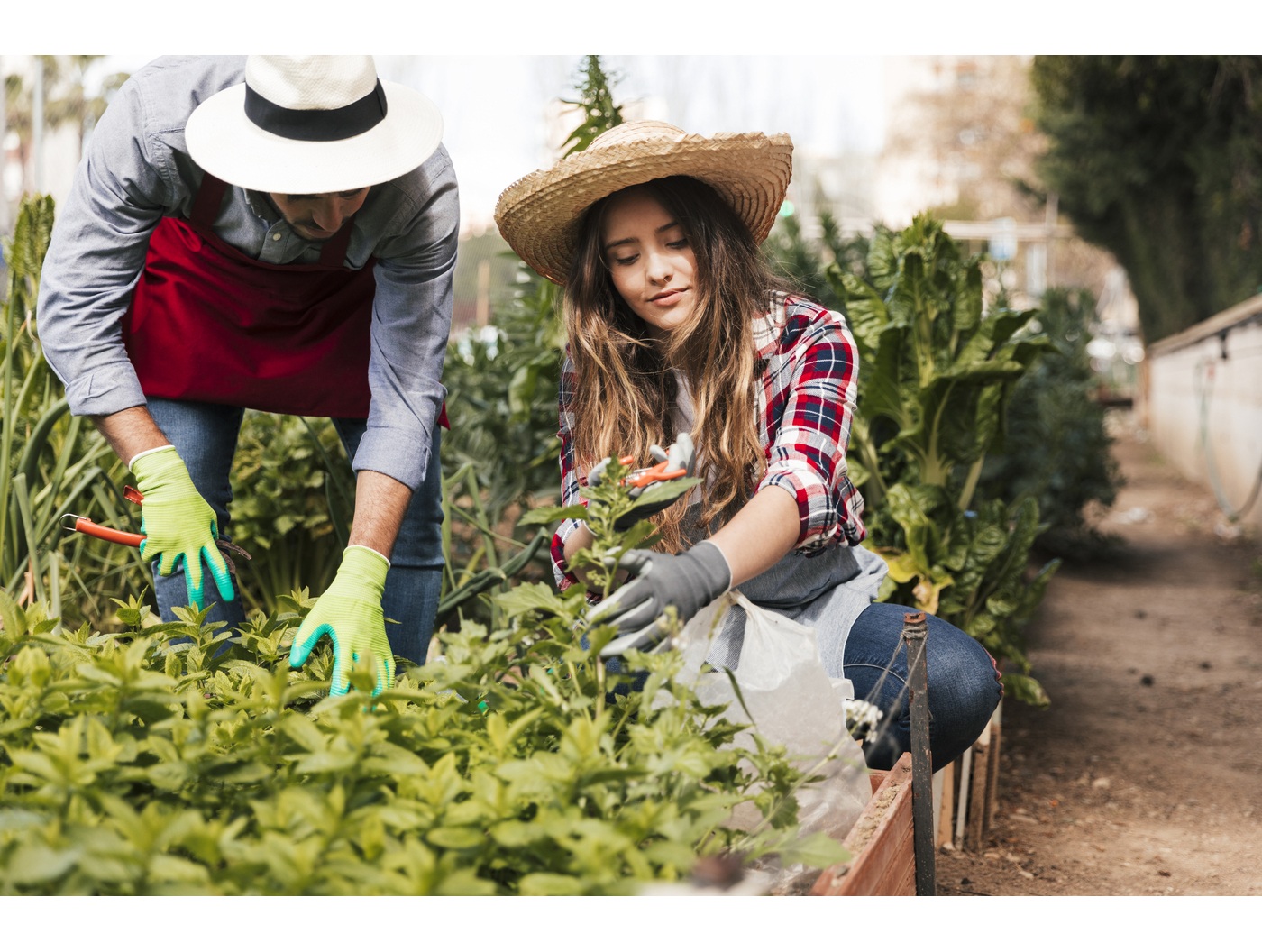 10 astuces efficaces et naturelles pour bien entretenir son jardin