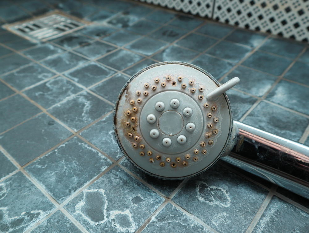 Pommeau de douche chromé sale avec calcaire qui doit être nettoyé. Douche calcifiée due à l’eau dure. Accumulation de minéraux de calcaire