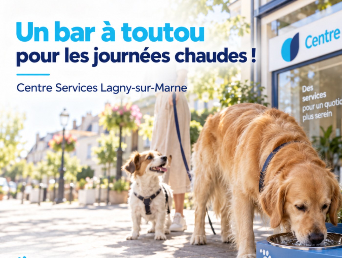 Un bar à toutou devant l'agence Centre Services de Lagny-sur-Marne