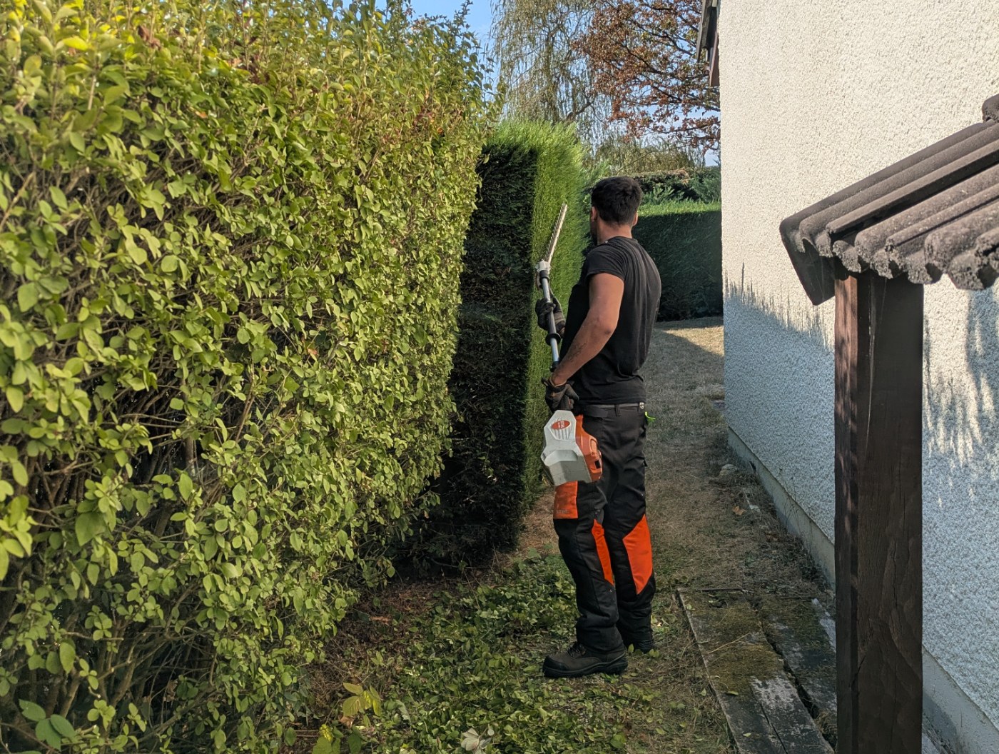 Renforcement de l'équipe "Jardin"