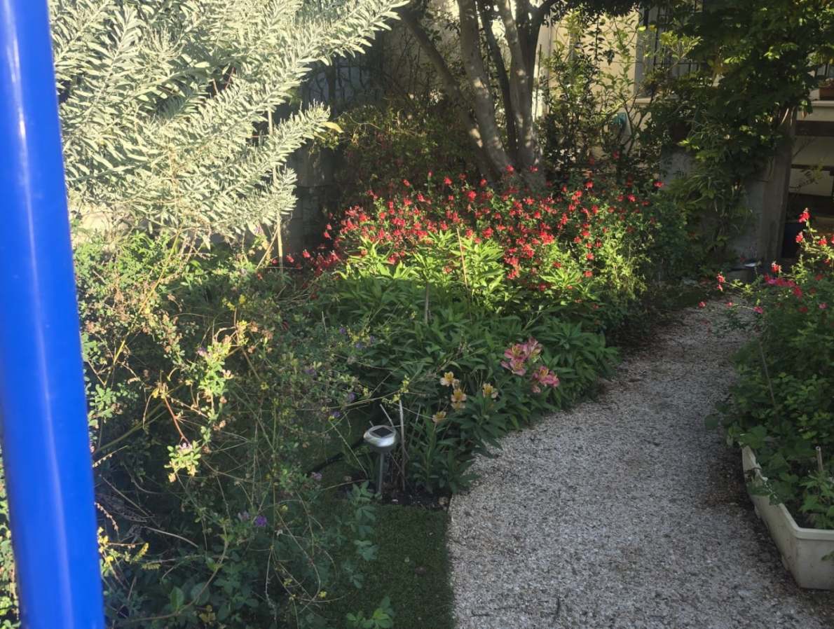 Jardinage d'automne à Saint-Maur-des-Fossés : Alessandro redonne vie à vos extérieurs